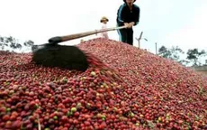Xuất khẩu chính ngạch vào Trung Quốc - Thay đổi từ tư duy