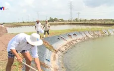 Nhiều chuyển biến tích cực trong thích ứng với biến đổi khí hậu ở ĐBSCL