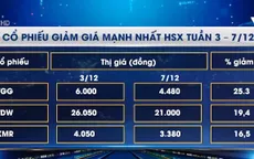 Các mã cổ phiếu biến động nhất HSX tuần qua
