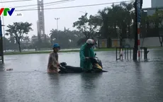 Nhiều diện tích trồng rau tại Đà Nẵng bị ngập sâu do mưa lớn
