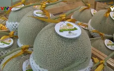 Nông nghiệp công nghệ cao - Không chỉ là đam mê