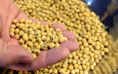 Trung Quốc mua đậu tương Mỹ