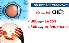 Gian nan hành trình xin có con cho người chết (Chuyển động 24h, 11h30, 18/12, VTV1)