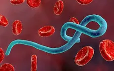 Phát hiện "lá chắn" chống virus Ebola trong tế bào người