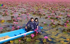 Mê mẩn hồ hoa súng đẹp như tranh ở Thái Lan