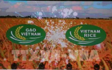 Thương hiệu gạo Việt: Muộn còn hơn không!