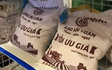 Năm 2018 - Năm khởi sắc của ngành lúa gạo Việt