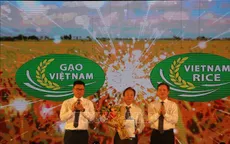 Công bố logo thương hiệu gạo Việt Nam
