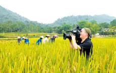 Những bức ảnh "nghìn like" tại cuộc thi ảnh "Những người làm truyền hình"