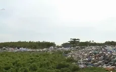 Ngập rác thải rừng phòng hộ