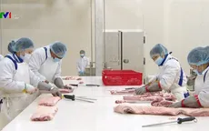 Khánh thành tổ hợp chế biến thịt mát đầu tiên tại Việt Nam