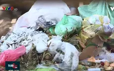 Khó xử lý tình trạng rác thải nông nghiệp tại các thành phố