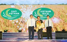 Vĩnh Long sẽ đăng cai Festival Lúa gạo Việt Nam 2019