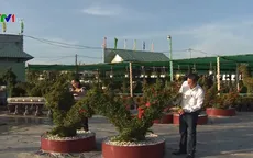 Trải nghiệm vườn kiểng thú bông trang lớn nhất nhì ở miền Tây