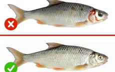 Nhận diện thực phẩm an toàn