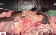 Bắt 1,4 tấn sản phẩm động vật bốc mùi hôi thối đang trên đường đi tiêu thụ