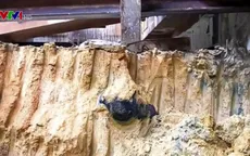 Hong Kong (Trung Quốc) phát hiện quả bom chưa nổ từ thời Thế chiến thứ hai