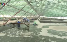 Xây dựng khu nông nghiệp công nghệ cao - Bước phát triển đột phá ngành tôm