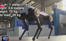 Thú vị robot 4 chân phi được như ngựa