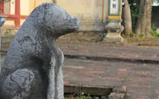 Triễn lãm “Chó trong đời sống người Việt”
