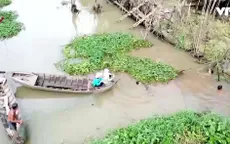 Đến Hậu Giang xem dỡ chà ăn Tết