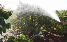Nông dân Tây Nguyên ra đồng sản xuất đầu năm