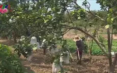 Tỉnh Bình Dương với kinh nghiệm không còn hộ nghèo