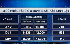 Đâu là các cổ phiếu "hợp mệnh" nhất trong năm Đinh Dậu?