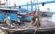 Ngư dân Đà Nẵng ra quân đánh bắt hải sản đầu năm