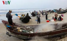 Ngư dân Thừa Thiên-Huế trúng đậm cá khoai