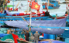 Phú Yên: Xuất hiện doi cát bồi, hơn 100 tàu câu cá ngừ mắc kẹt trong bờ