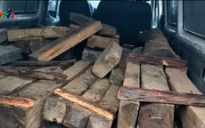 "Nóng" tình trạng vận chuyển gỗ trái phép dịp giáp Tết