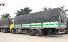 Ùn ứ xe chở nông sản ở Lạng Sơn, nhiều lái xe đối mặt với giá rét