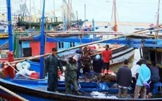Ngư dân Phú Yên trúng đậm cá ngừ đại dương