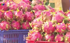 Chung tay để đạt mục tiêu 40 tỷ USD xuất khẩu nông sản