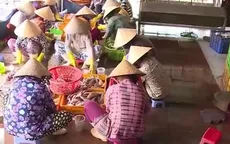 Bà Rịa - Vũng Tàu: Siết chặt an toàn vệ sinh thực phẩm tại các cơ sở chế biến cá khô