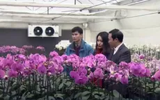 Đầu tư công nghệ hiện đại trồng hoa