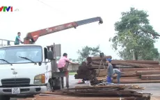 Doanh nghiệp cơ khí tìm kiếm thị trường xuất khẩu