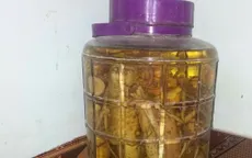 Cảnh báo ngộ độc do uống rượu ngâm không rõ nguồn gốc