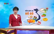 Nông dân xót xa đổ bỏ su hào vì mất giá