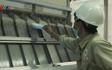 Gạo ST24 đạt chứng nhận chuẩn hữu cơ quốc tế