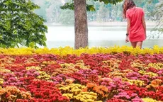 Cảnh đẹp thế giới mê ly qua ống kính của cặp đôi nam nữ Nam Phi