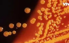Mỗi ngày có 1 tỷ virus rơi xuống Trái đất