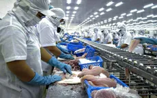 Hội nghị triển khai nhiệm vụ ngành cá tra năm 2018