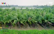 Khám phá cù lao hình hạt gạo ở Cần Thơ
