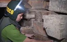 Khẩn trương điều tra, làm rõ trách nhiệm trong vụ phá rừng ở Đăk Lăk