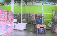 Gạo Lào được nhiều người Việt ưa thích