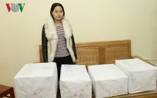Yên Bái: Bắt giữ 28 kg quả thuốc phiện