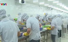 Cá tra Việt Nam bị áp thuế cao kỷ lục tại Mỹ: VASEP khiếu kiện vì sự áp đặt vô lý