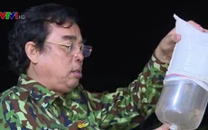 Bạc Liêu kiểm tra chất lượng tôm giống nhập tỉnh